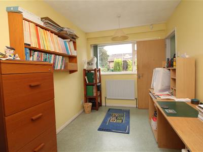 Picture 13
